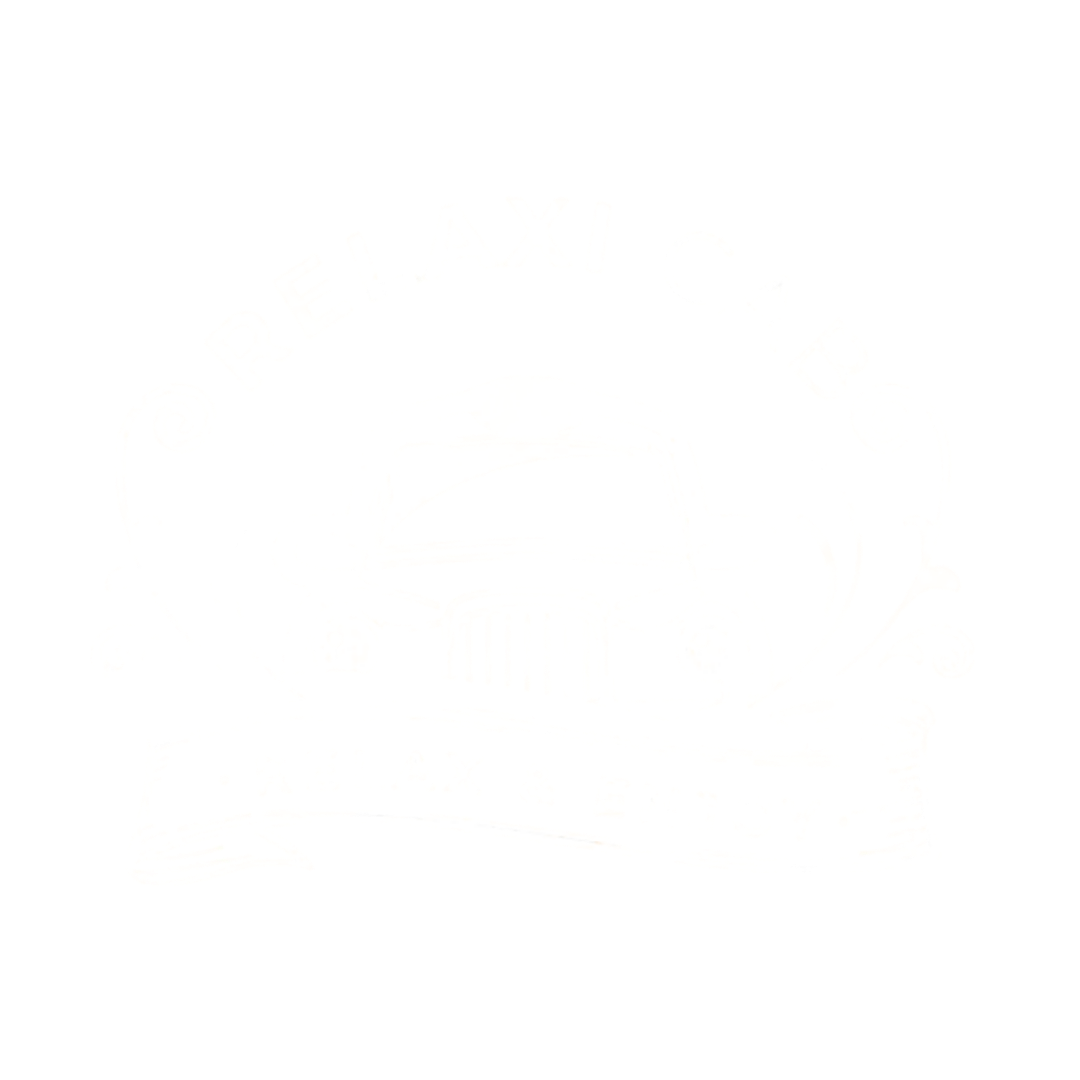 white relaxicab logo